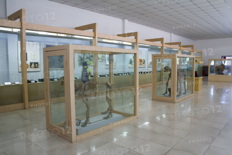 unearthed cultural relics from Ruins of Zhoukoudian PalaeoHuman