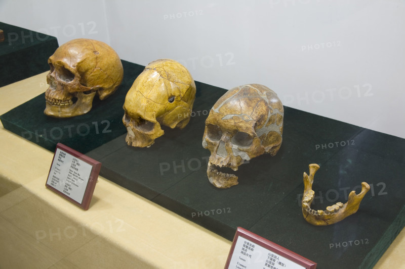 unearthed cultural relics from Ruins of Zhoukoudian PalaeoHuman