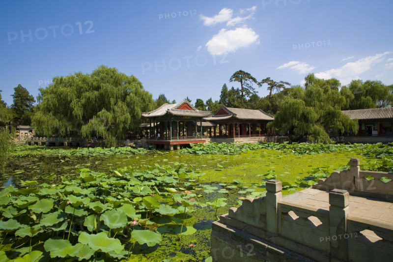 The Summer Palace