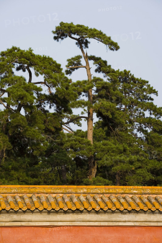 Architecture in The Western Qing Tombs,Shanxi Province