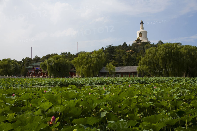 View of North Sea Park,Beijing