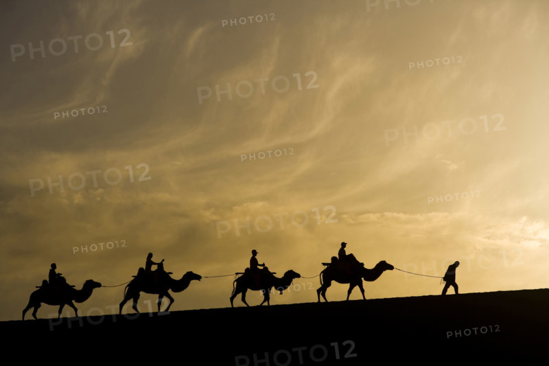 A Group of People Riding Camels in the Desert