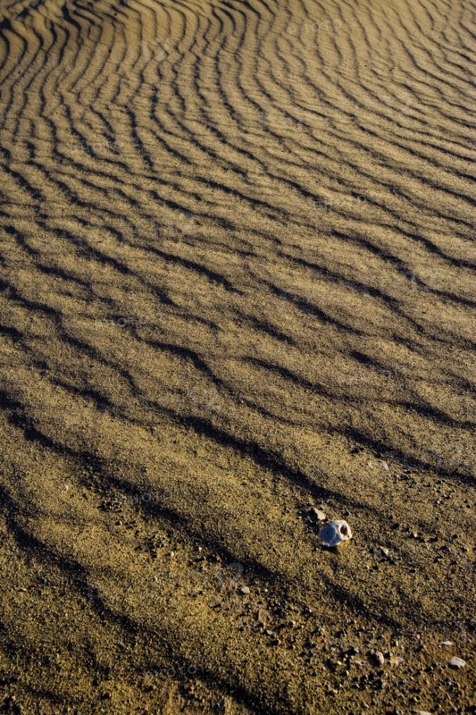 The Yadan landform in Lop Nur,Xinjiang