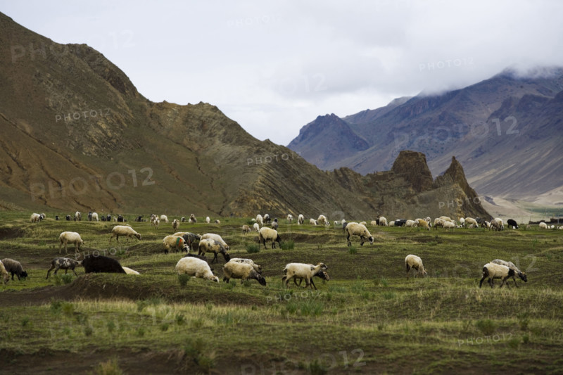 Mountains and Meadow along the Way to Tingri