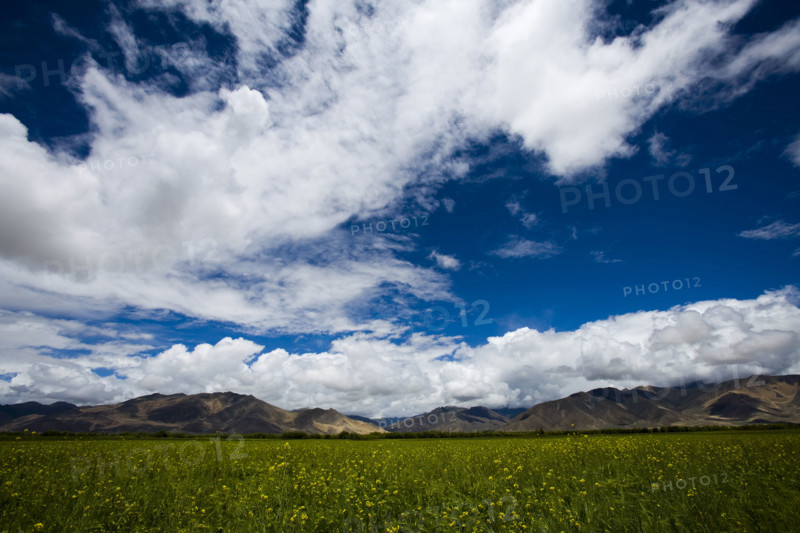 Meadow along the way to Shigatse,Tibet