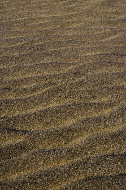 The Yadan landform in Lop Nur,Xinjiang