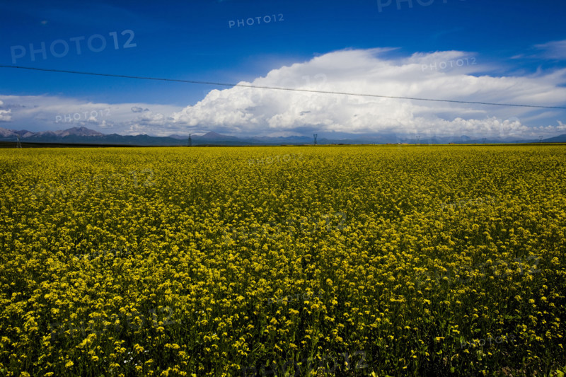The Landscape along the road from Qinghai to Tibet