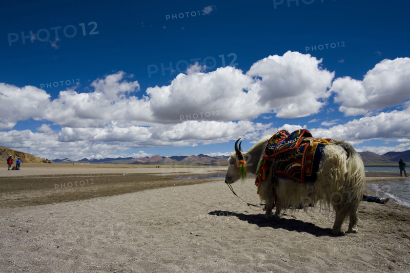 Nam Co Lake,Tibet