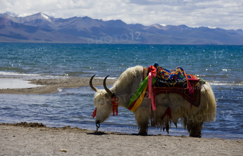 Nam Co Lake,Tibet