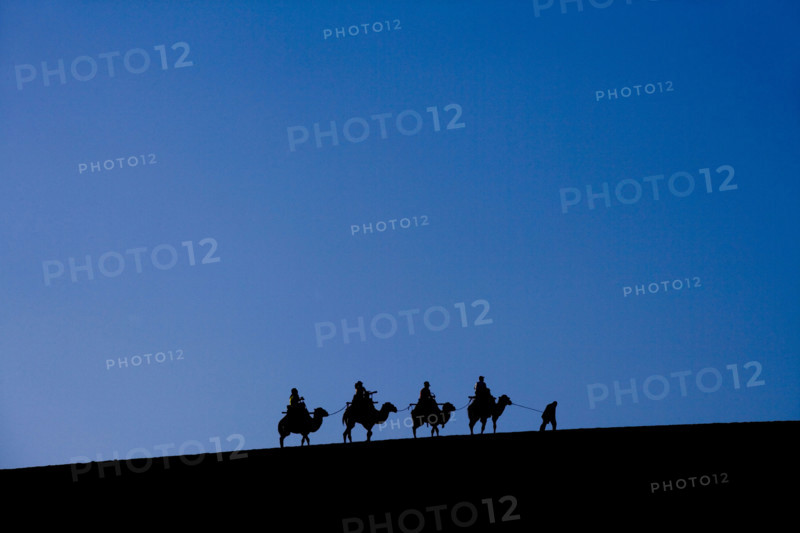 A Group of People Riding Camels in the Desert
