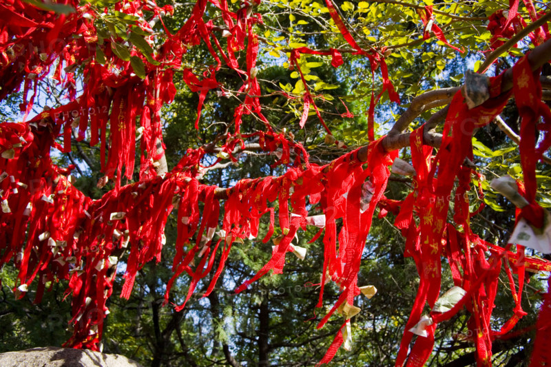 Red belt,Shandong
