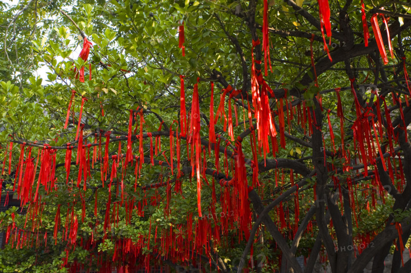 Daming Lake Park,Daming,Lake,Daming Lake,Shandong