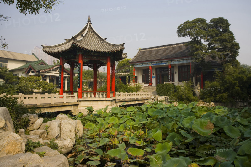 Daming Lake Park,Daming,Lake,Daming Lake,Shandong