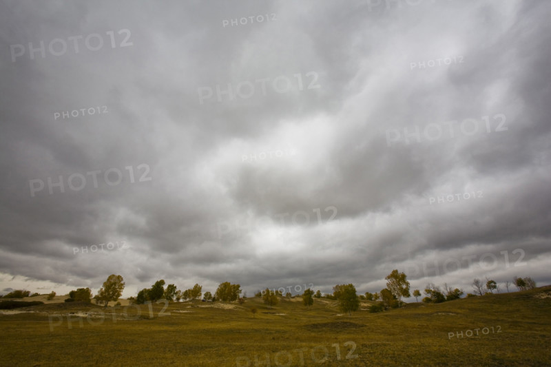 View of Bashang high plain,Neimenggu
