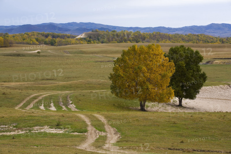 View of Bashang high plain,Neimenggu