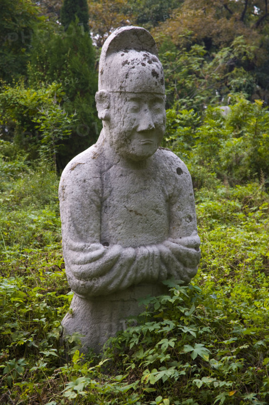 View of Confucius Forest in Qufu,Shandong