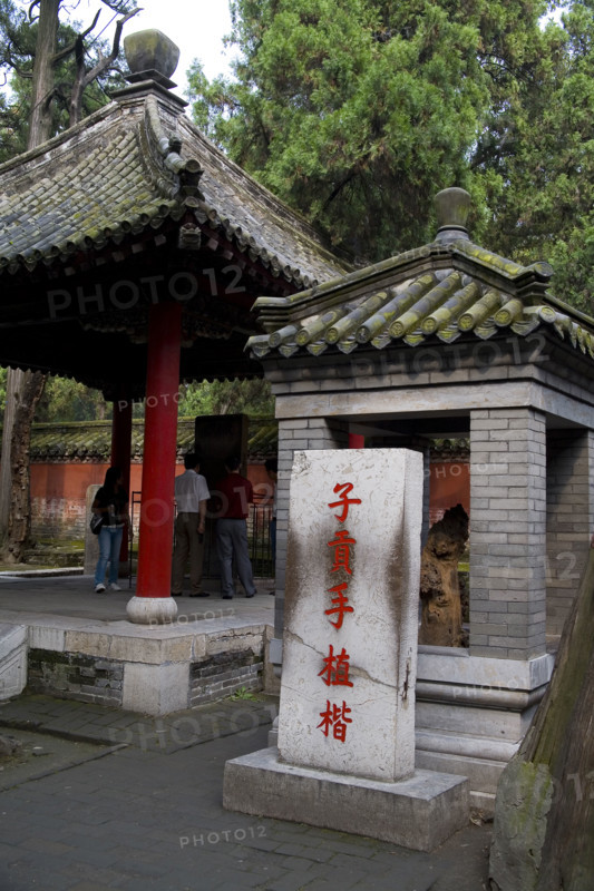 View of Confucius Forest in Qufu,Shandong
