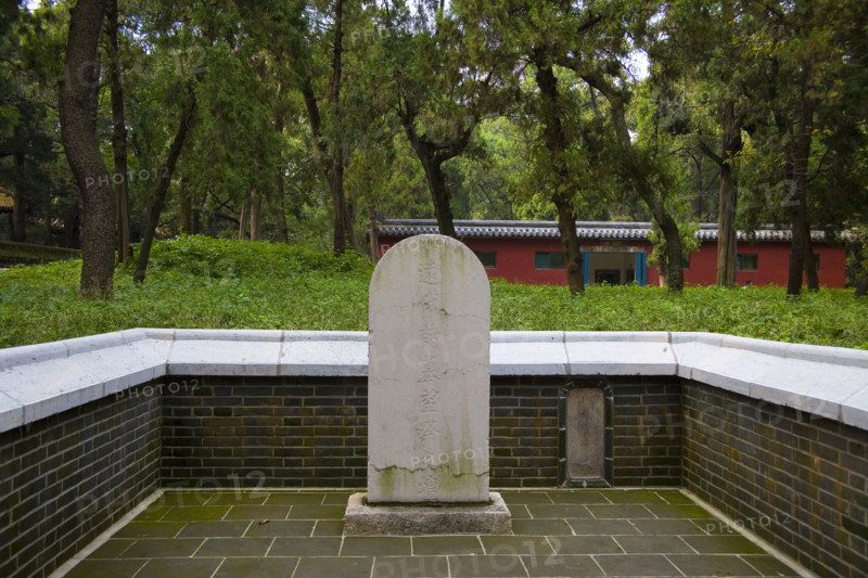 View of Confucius Forest in Qufu,Shandong