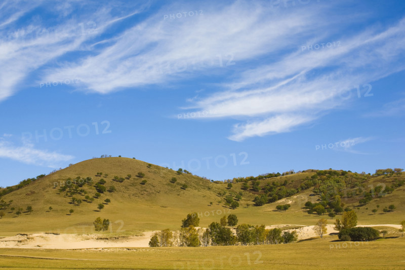 View of Bashang high plain,Neimenggu