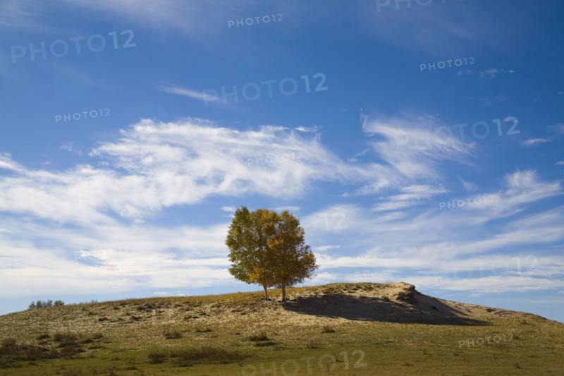 View of Bashang high plain,Neimenggu