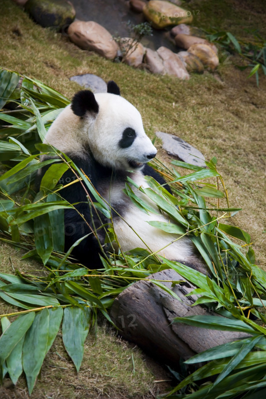 Hong kong marine park