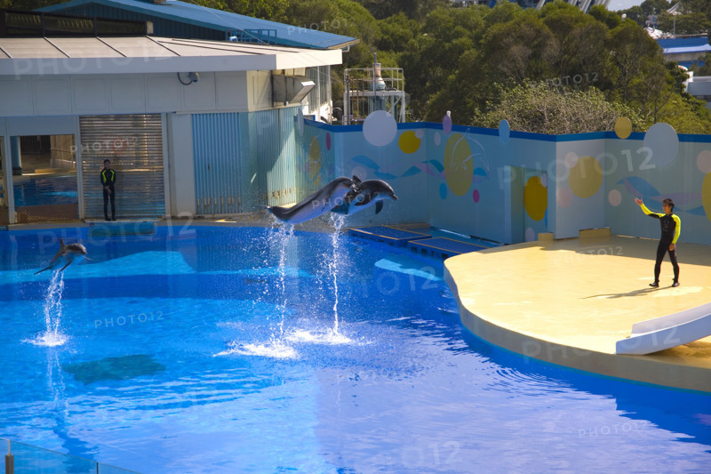 Hong kong marine park