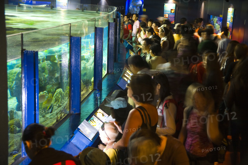 Hong kong marine park