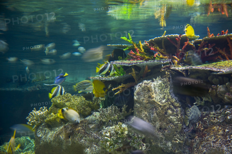 Hong kong marine park
