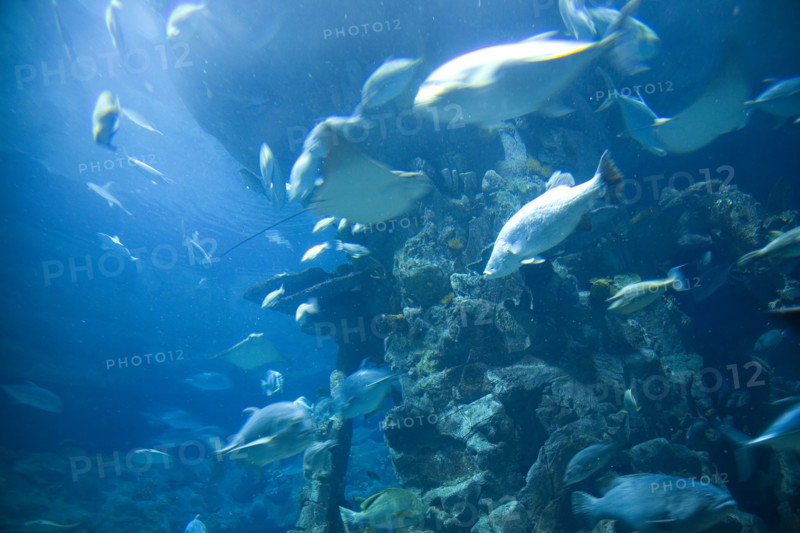 Hong kong marine park