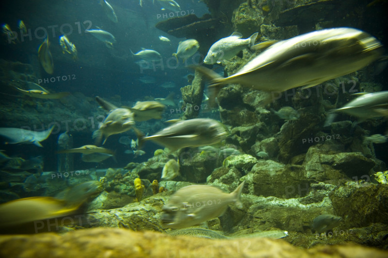 Hong kong marine park