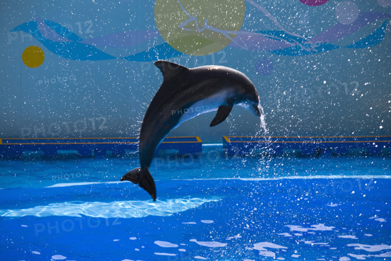 Hong kong marine park