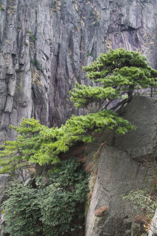 Mount Huang