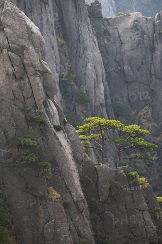 Mount Huang