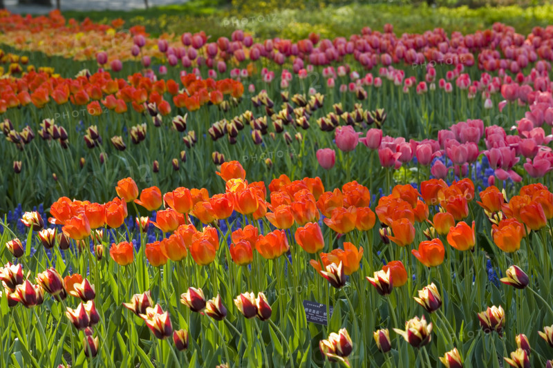 Beijing Botanical Garden