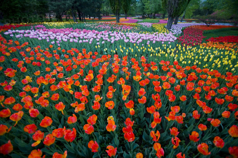 Beijing Botanical Garden