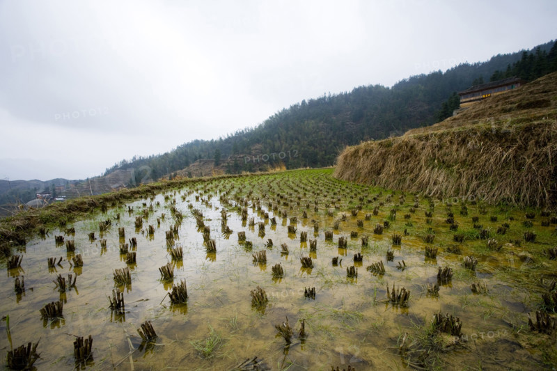 Longji Terraces,Guangxi