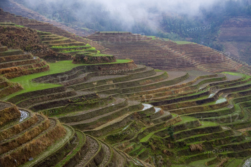 Longji Terraces,Guangxi