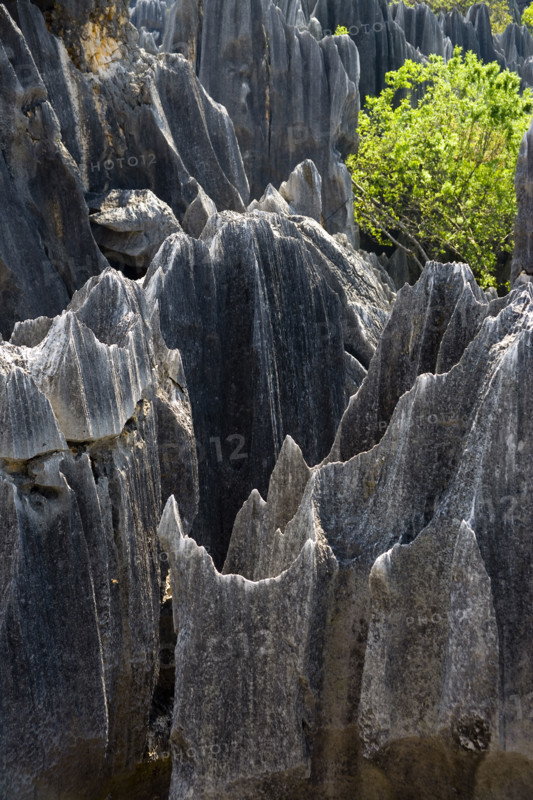 Yunnan,Stone Forest