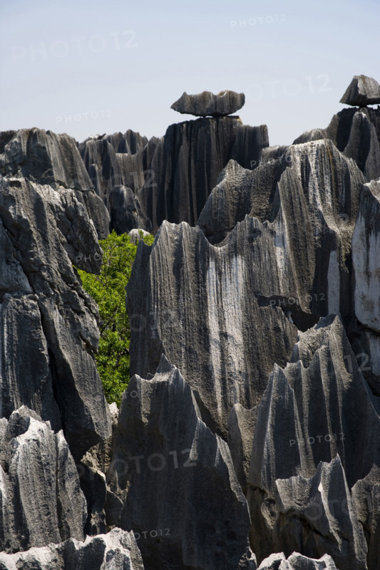 Yunnan,Stone Forest