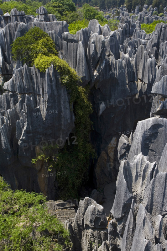 Yunnan,Stone Forest