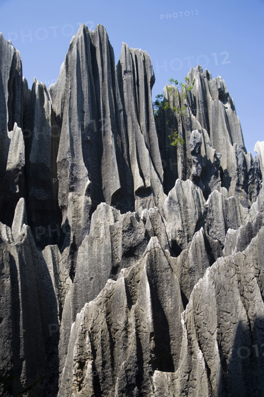 Yunnan,Stone Forest