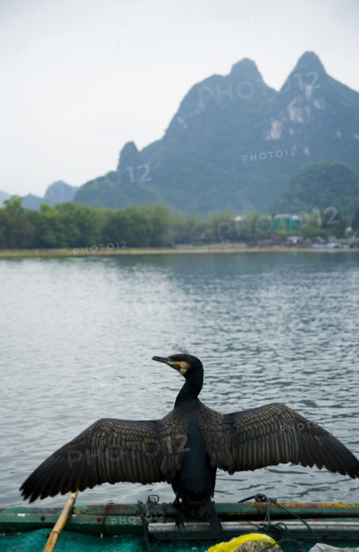 Xingping Town,Guangxi