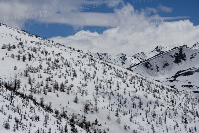 White Horse Snow Mountain,Yunnan