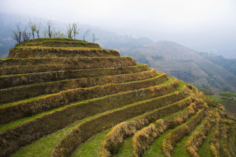 Longji Terraces,Guangxi