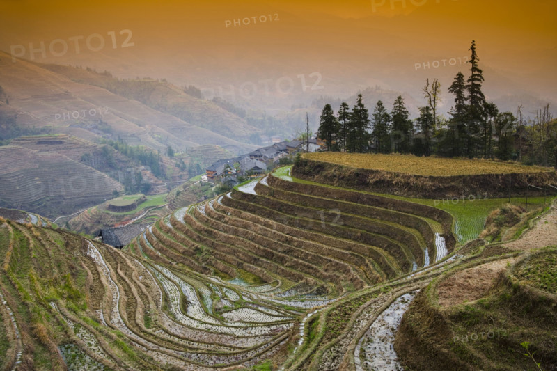 Longji Terraces,Guangxi