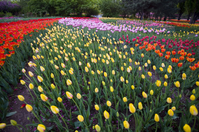 Beijing Botanical Garden