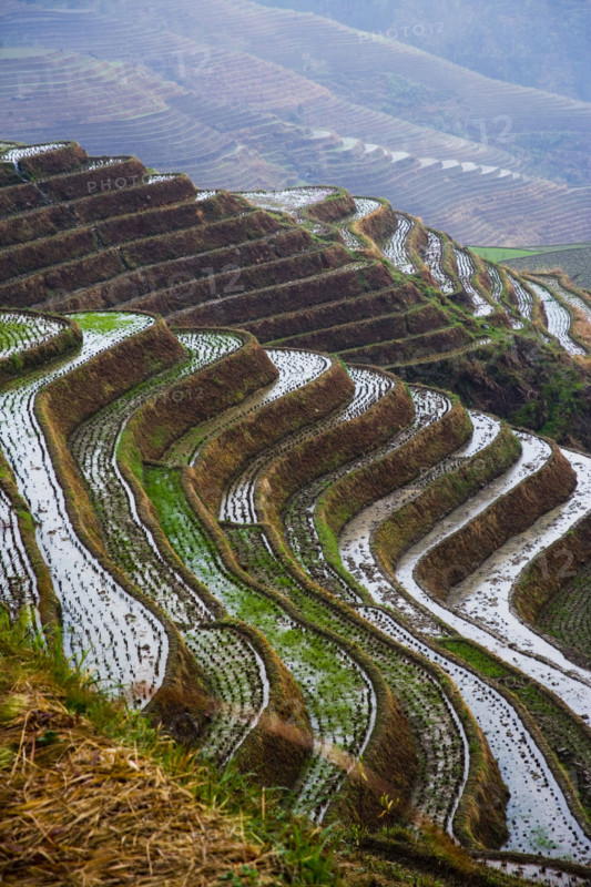 Longji Terraces,Guangxi