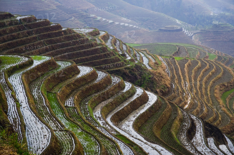 Longji Terraces,Guangxi
