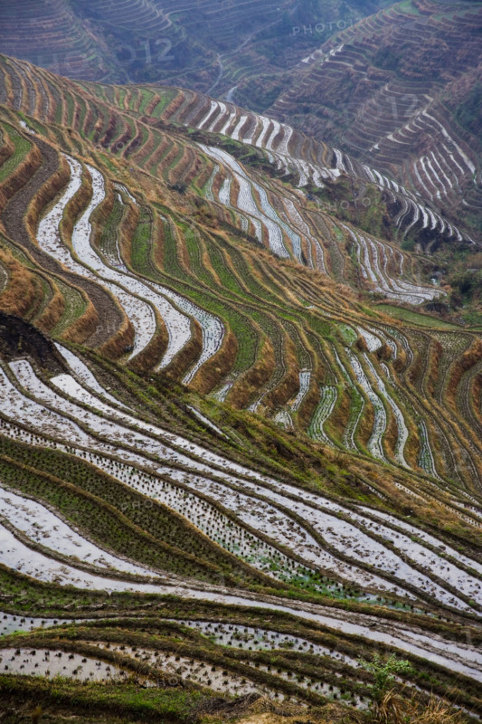 Longji Terraces,Guangxi