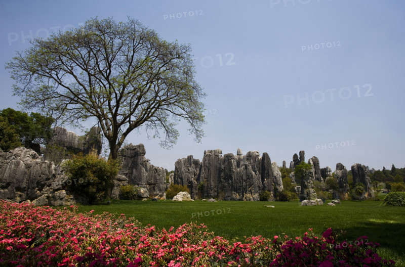Yunnan,Kunming,Xishan